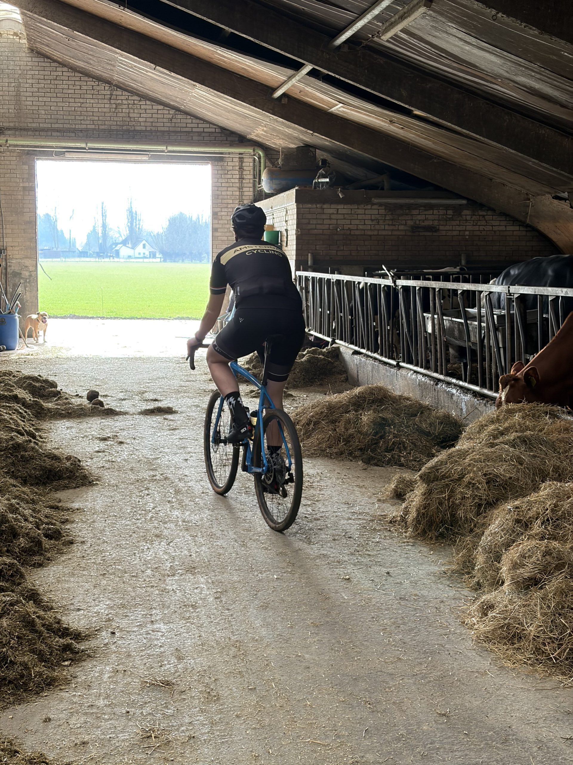 gravellen in de schuur